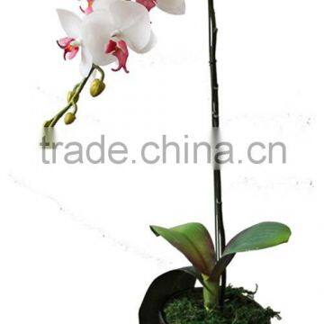 the real touch artificial bonsai plants artificial orchid flowers