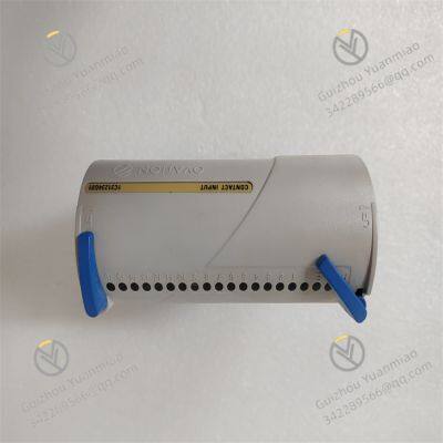1C31234G01 EMERSON 16-канальный цифровой входной модуль в распределенной системе управления (DCS)