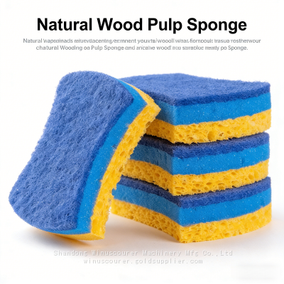 Biodegradable Eco Friendly Sponge Compostable Cellulose Coconut Fiber Multi-Purpose Countertop Sponge
