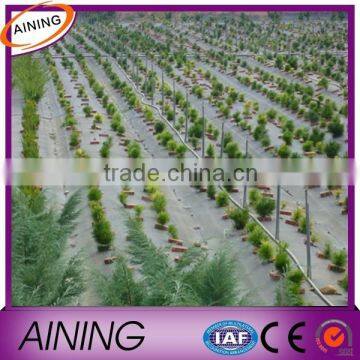 2015 new uv PP & PE plastic ground cover/ground mat/weed mat product