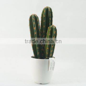 High nature artificial plants artificial cactus wholesale from Chinese supplier