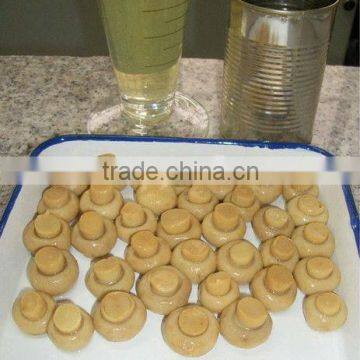 Import china whole button mushroom in tin