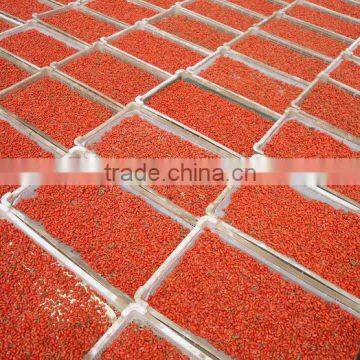 Organic Chinese Ningxia Goji photo-2