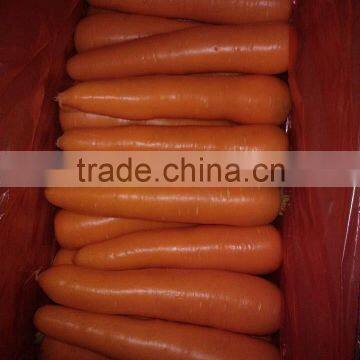 2014 China fresh carrot S/M/L size