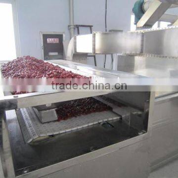 Competitive China manufacturer microwave dryer for food with CE