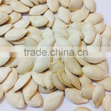 Bulk Vegetable Seeds China Shine Skin Pumpkin Seeds Grade a photo-3