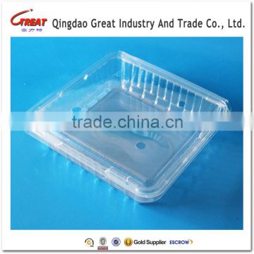 Best Quality Clamshell Blister Plastic packaging container for blueberry 500 gram