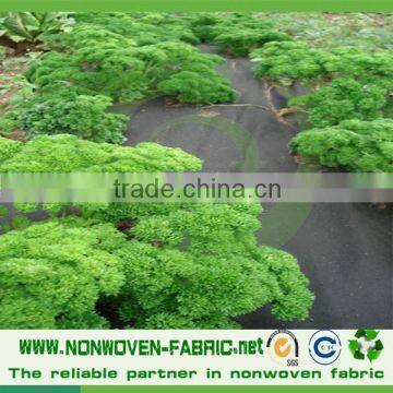 Spunbond 100% pp Nonwoven Fabric Non Woven Fabric Agriculture Fabric/weed Control Fabric photo-4