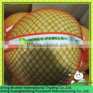 wholesale fresh honey pomelo