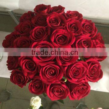 Cheap wholesale artificial red silk rose for wedding