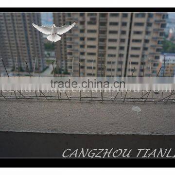 Widely Use Stainless Steel 304 Pigeon Spike---TLD5011