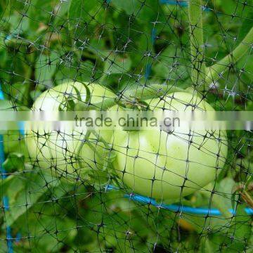 3/4" inch square mesh netting anti bird fruit garden vegetable net