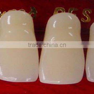 CE Approved Synthetic Polymer Teeth photo-3