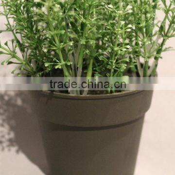 Bulk Fake Potted Artificial Plastic Grass in Plastic Planter for Sale photo-2