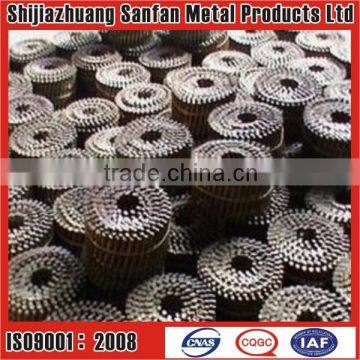 Galvanized Coil Nail (professional factory)