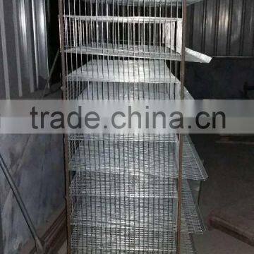 Automatic Quail Bird Layer Cage System Supplier's Choice photo-2