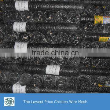 Lowest Price Glanvized Poultry Wire Netting photo-6