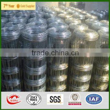 Pvc Coated/galvanized/stainless Steel Welded Wire Mesh Manufacturer