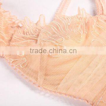 Factory Direct Women Lingerie Sexy Bra Set (CAS033) photo-2