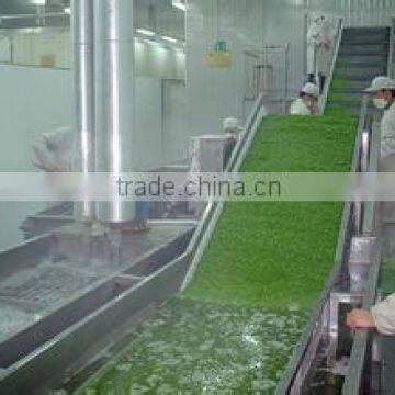 date washing machine/apricot washing machine/fruit washing machine