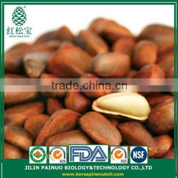 Continous Supply Snack Foods New Crop Siberian Open Pine Nuts in Shell