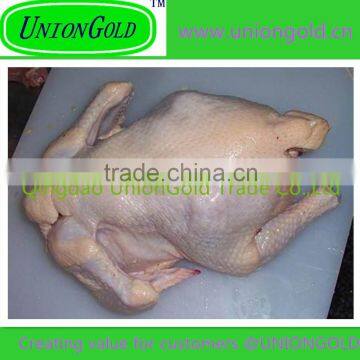 Best quality Frozen halal chicken