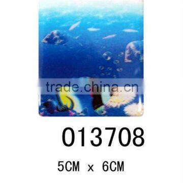 Souvenir Epoxy Resin Refrigerator Magnet