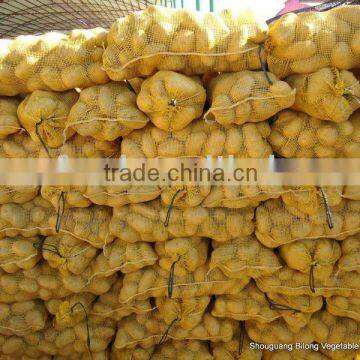 wholesale new crop fresh potato (chinese product)