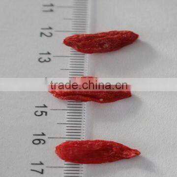 Factory Supplier Gojiberry 250/280/300/350/380/500/750grains/ A Grade photo-5