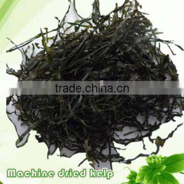 wholesale Machine dried kelp ,food grade