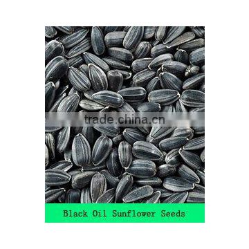 wholesale sun flower seeds for oil