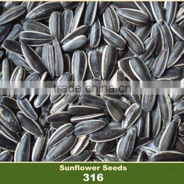 2016 New Crop Chinese Sunflower Seed 316