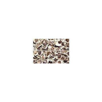Moringa Seed