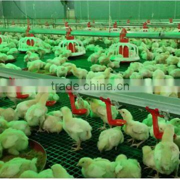 Automatic Cup Poultry Drinkers for Chicken and Turkey