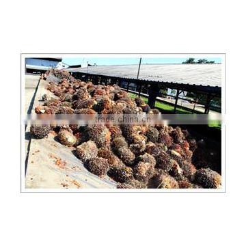 15TPH Palm oil solvent etraction 50% off for hot sale