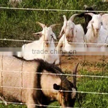 Wire mesh fence for cattle,horse, sheep,poutry and other animal and poutry(Mesh fence-M)