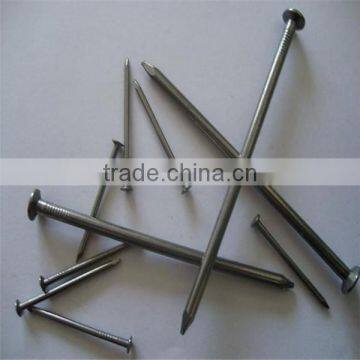 Painting Common Nail From Nail Factory photo-4