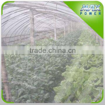 Insect Net Applied to Agricultural Greenhouse photo-5