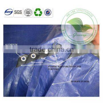 Waterproof PE Dry Hay Finished Tarp to Cover for Sale photo-2