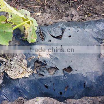 Biodegradable agricultural plastic mulch film, ground black cover, Biodegradable plastic film