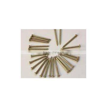 Common Construction Wire Nail