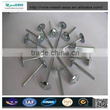 2017 Zinc Galvanized Nail photo-2
