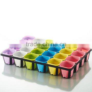Plastic 24 Divided Plastic Material Hydroponic Seedling Trays
