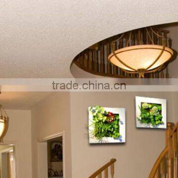 China 3D framed photos art