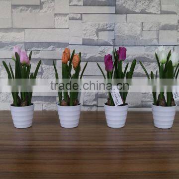 Plastic Artificial Tulip Flowers Bonsai for Home and Commercial Decoation photo-6
