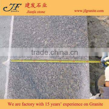 Cheapest Purple Flower Granite Peral Flower Granite G383 photo-3