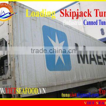 LOADING FROZEN SKIPJACK TUNA W/R