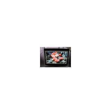 Sell Digital Photo Frame