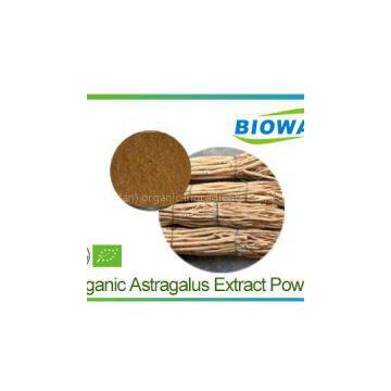 Organic Astragalus Extract Powder