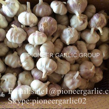4.5cm 5cm 5.5cm Normal White Garlic Small Packing 1n 10kg Carton Box photo-4